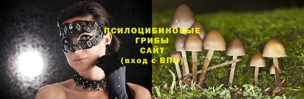 2c-b Заводоуковск