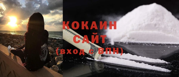 ПСИЛОЦИБИНОВЫЕ ГРИБЫ Заволжск