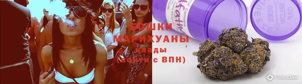 2c-b Заводоуковск
