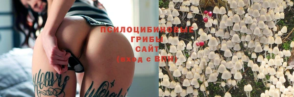 2c-b Заводоуковск