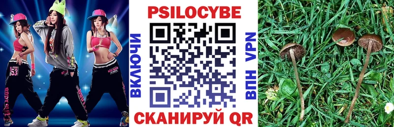 Купить  Кукмор  Псилоцибиновые грибы мухоморы 